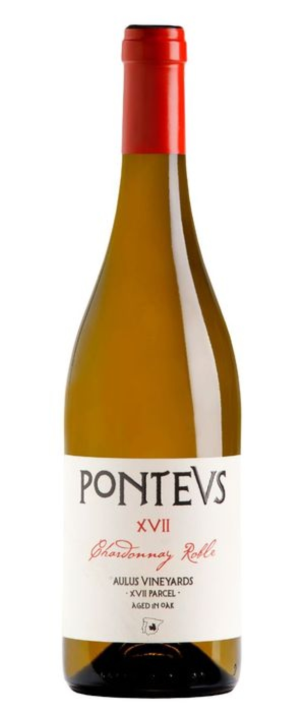 VINO PONTEVS CHARDONNAY ROBLE 2022 0.75L.